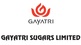 Gayatri Sugars Ltd Q4 FY2024 profit at Rs. 33.61 crores